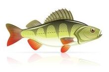 sjømat for pankreatitt